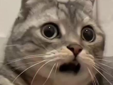 开年王炸!比亚迪元UP限时直降5000!6.98万拿下纯电SUV! #王朝开年厂补直达
#5000元超级置换补贴来了
#元UP超底好时机
#6字头拿下元UP
#真实惠不套路