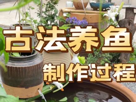 古法养鱼制作过程来啦,喜欢的朋友赶紧跟着做起来吧~#古法养鱼#养鱼#我的乡村生活#孙超伟