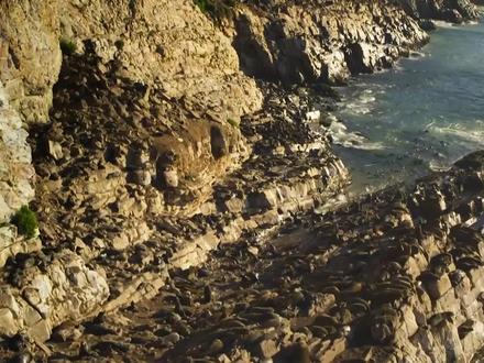 《动物世界的故事》#动物世界精彩瞬间