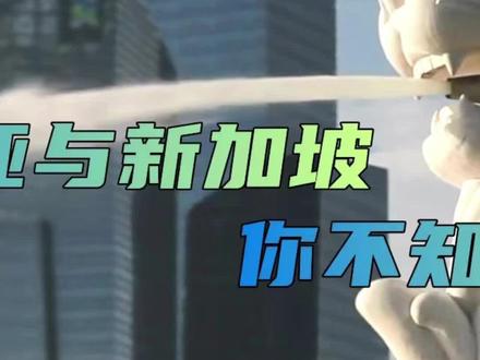 关于新加坡和马来西亚,你不知道的事 #马来西亚 #新加坡 #语言