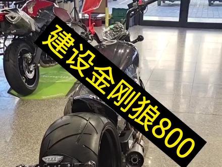 建设金刚狼800#金刚狼 #赤峰贝纳利旗舰店 #复古机车