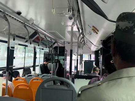 逛石家庄现存最大早市,西三庄早市,具体位置见片尾。 #西三庄早市