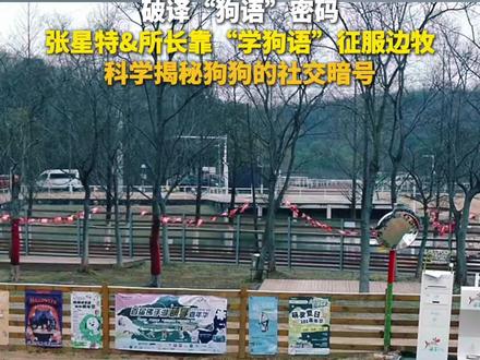 破译“狗语”密码,张星特&所长靠“学狗语”征服边牧,科学揭秘狗狗的社交暗号。#张星特凭狗语成为狗圈满分人类 #张星特所长丝滑打入狗狗内部 #Ber这很科学啊