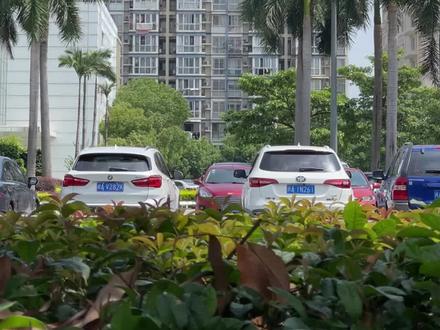 #现场 丨福建人破防了!全国最让人崩溃的高温在这里,福州已经连续26天出现超过35度的湿热高温,这些天还变本加厉直接干上40度,福建真的凉不下来了吗?(资料来源:中气爱怎么说)#高温 #福建