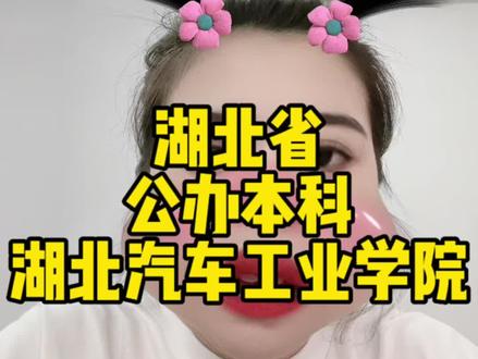 湖北公办本科——湖北汽车工业学院#湖北汽车工业学院 #24届艺考生 #美术生 #武汉 #高考