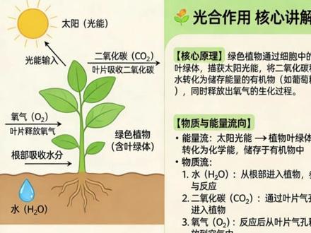 你的AI还在瞎画吗?Seedream5.0自带联网,这生产力 #AI绘画 #Seedream #字节跳动 #AI工具 #即梦