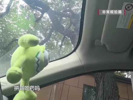 【神秘“感召”培训再曝内幕:学员被逼嘶喊、分享被霸凌经历,有人情绪崩溃,反遭围攻羞辱】此前,《百姓关注》记者报名进入了一个神秘的培训机构,在第一阶段的培训课程中,上午教练让学员们在昏暗教室上演“反省”大会,下午的课程却画风突变,学员们两两搭档,以摇晃身体和脑袋的方式“支持”对方,现场气氛几近疯狂。记者在体验过程中,对方的各种操作逐步浮出水面。而在接下来的培训中,更是出现了让人意想不到的状况...