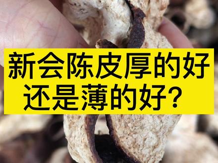 新会陈皮厚的好还是薄的好?#新会陈皮 #陈皮 #科普知识