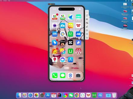 苹果iPhone,ipad开启关闭应用购买权限,防止小朋友误充值,防止误操作导致人脸支付#iphone小技巧