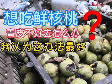 青皮核桃皮难去,这个土方法很好,去皮即快又干净