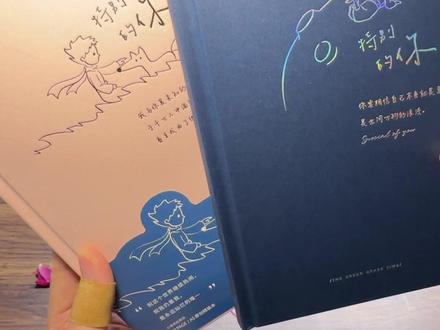 小王子笔记本 你不说我以为这是本书#笔记本 #小王子 #文具安利