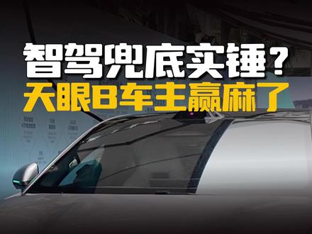 比亚迪智驾兜底实锤了?天神之眼B车主真要赢麻了#比亚迪智驾大会 #比亚迪智驾发布会 #天神之眼B #比亚迪智驾