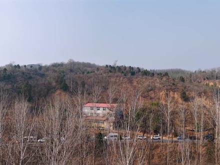 郑州贾鲁河源头复涌“暖泉”,或可开发温泉。 贾鲁河源头近期出现泉水复涌现象,位于郑州市二七区马寨镇梨园河村一带,复涌点为一口废弃约30年的机井。 涌出的泉水属于贾鲁河源头“暖泉”水系,水温实测在28℃至33℃之间,涌水量约为每小时80至120立方米,水流稳定并逐渐汇聚成宽近4米的溪流。
复涌的主要原因包括:一是2025年夏秋季节降水量偏多,地表水下渗后有效补充了地下水资源;二是周边区域(如新密和郑州的煤矿采石场)长期开采活动停止,减少了地下水抽取,使地下水位自然回升;三是当地特殊的地质构造,如三李断裂带的存在,可能使深层地下水受地壳热异常影响而被加热,形成温泉水特征。
当前泉水水质尚未达到直接使用标准。从新闻报道:初步检测显示,其浊度远超生活饮用水限值(1 NTU),pH值略低于6.5的下限,不符合饮用水安 全要求。 水质在复涌初期因冲刷岩层而浑浊,但随时间推移可能逐渐变清。 由于泉眼位于尖岗水库水源保护区内,且水温在冬季室外体感偏凉,目前不适宜开发为温泉浴场或直接用于生活用水。
未来开发利用需基于进一步专业评估。若水质经处理后满足温泉水标准,理论上可探索温泉旅游等用途,但需优先考虑生态保护与水源安 全。 此次复涌被视为区域生态改善的积极信号,反映了地下水环境的自然恢复能力。
小提醒:前往梨园河村的后一段路,有一个长达百米多的斜坡窄路,近期雨雪路滑,谨慎规划出行路线。
#郑州 #郑州周边游玩推荐 #贾鲁河温泉 #贾鲁河源头 #贾鲁河源头泉水复涌