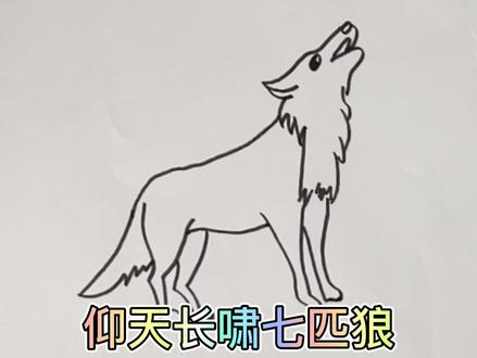 狼的简笔画,仰天长啸七匹狼