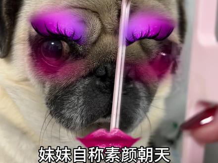 姐姐平时就化这么浓的妆吗? #萌宠 #巴哥 #萌宠出道计划