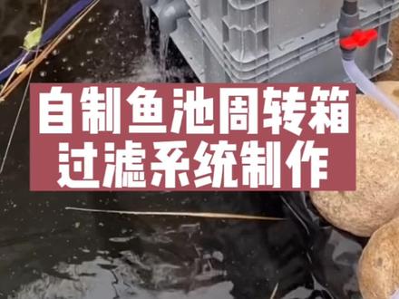 自制鱼池周转箱过滤系统制作#养鱼日记 #专业生产厂家 #水族 #水族爱好者