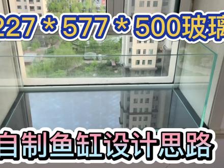 自制大水体玻璃鱼缸,详细设计思路,欢迎大神指教。 #玻璃鱼缸制作过程 #玻璃鱼缸定制 #玻璃鱼缸定做 #玻璃鱼缸 #玻璃鱼缸制作