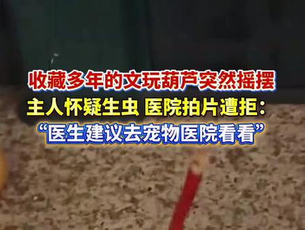 收藏多年的文玩葫芦突然摇摆
主人怀疑生虫 医院拍片遭拒:
“医生建议去宠物医院看看”
@倔犟了半生 #葫芦 #万万没想到 #文玩葫芦 #有点意思
(编辑 孟雪 责编 王牡丹)
