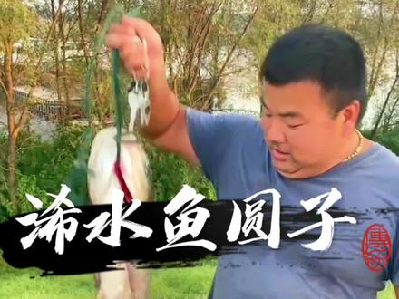 浠水鱼圆子家庭版详细教程,你不会做,关注灿哥手把手教你#民间传统美食 #手工鱼丸 #黄冈 #浠水 @抖音小助手