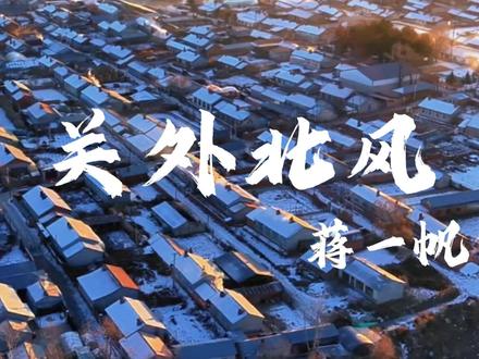 每一片雪花都喊着回家回家 #蒋一帆 #艾里克 #歌曲关外北风 #过年回家 #每一片雪花都喊着回家回家 @蒋一帆🐵