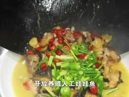 因为一道“家常菜”,王刚道歉!娃娃鱼走红,它到底能不能吃?@西瓜视频#科普 #上西瓜看知识 #STAR