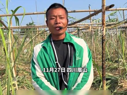 “偷甘蔗农场”老板发视频称,28号最后一天游玩 29号闭园