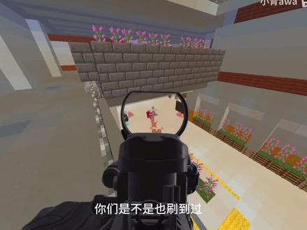 教你玩到主播同款服务器。#我的世界#暗区突围