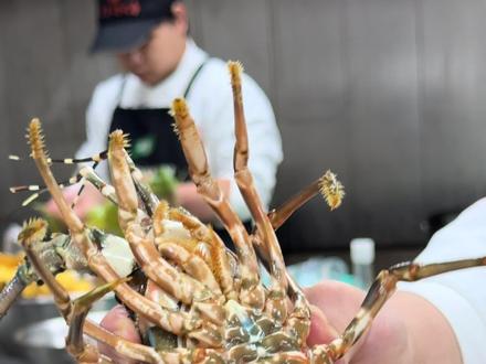 小青龙的分辨技巧你知道吗?学会做给丈母娘吃非常有排面的一道菜,#美食 #美食教程#海鲜 #小青龙