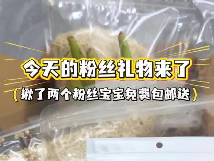 5月的礼品来啦~欢迎大家参与哦! #仓鼠用品 #仓鼠礼物 #礼品 #抽奖 #金丝熊零食