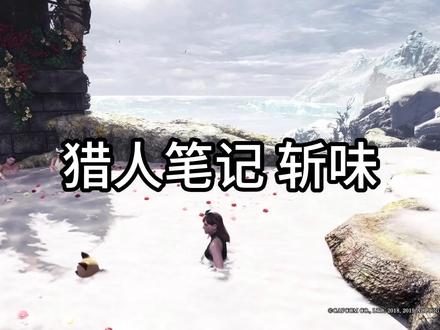 猎人笔记 斩味
#steam游戏 #怪物猎人