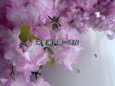 傻傻2.0宋星阑好萌啊,时时刻刻都要看到哥哥 #一屋暗灯 #广播剧 #宋星阑 #宋谨 #猫耳FM @DOU+上热门 @DOU+小助手