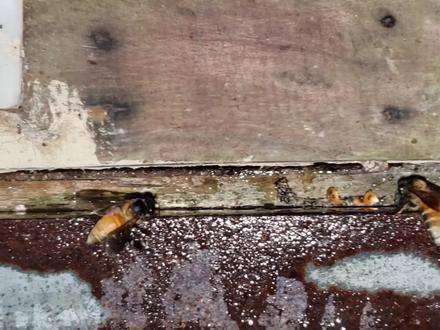 肉弱强食,赢者生存。 #干这行我们是专业的