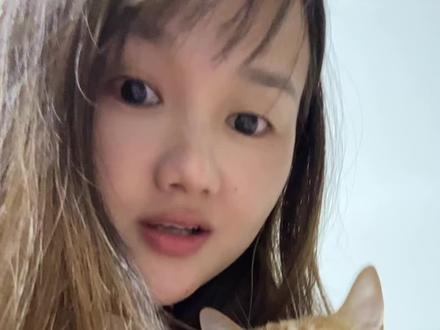 你们有没有想过小猫一天都在忙些啥