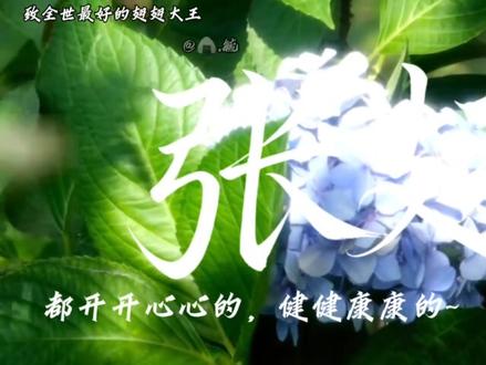 上天入地我再也找不到比你更好的人。故事的开始,是我记住了你的名字🙃#姓张的 #张翅#向全世界安利张翅 #翅煲 #语录 #视频剪辑 @张翅 @张翅-翅煲事务所 @大-山