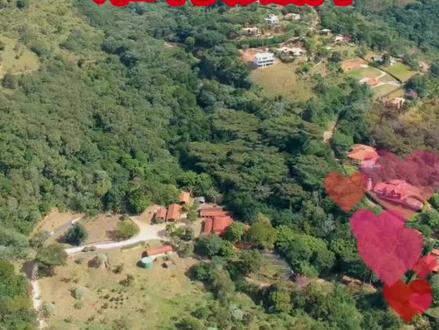 柬泰实力,真相竟和你想的完全相反?#热点#国际#泰国#柬埔寨