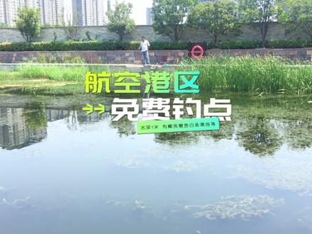 航空港区 免费钓点 水深1米 有鲫鱼鲤鱼白条黑鱼等#垂钓 #钓鲫鱼 #钓鱼 #野钓 #钓点 #户外垂钓 #爱钓鱼 #钓友 #钓鱼人 #原来钓鱼才是抖音运动顶流