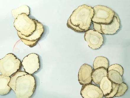 揭秘系列——白芷:川白芷、亳白芷、祁白芷,你能分清楚吗?#白芷 #中药 #中药鉴别