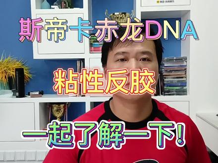 斯蒂卡赤龙DNA套胶 #乒乓#底板#套胶#套胶底板搭配