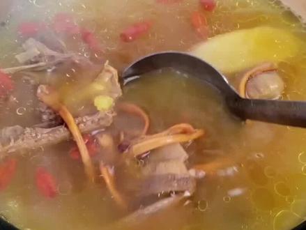 俗话说“一鸽胜九鸡”,鸽子真有那么补吗?杀鸽子到底放不放血? #奇妙知识在抖音 #鸽子汤 #科普