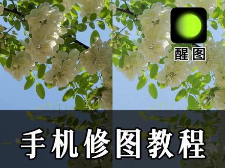 一起来学习醒图清透感花朵调色!#手机修图 #醒图修图 #清透感花朵调色