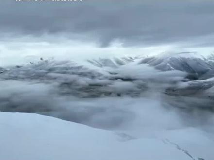 生命树很好看 不管是演员演技、剧情还是取景都非常棒 不希望为了黑而黑 这部剧这些故事以及这群可爱的人做的事应该被更多人看到了解到 我们需要更多的人自觉保护这群可爱的小动物!@杨紫 @电视剧生命树(守护博拉木拉 #杨紫 #生命树 #白菊 #生命树台词 #保护动物