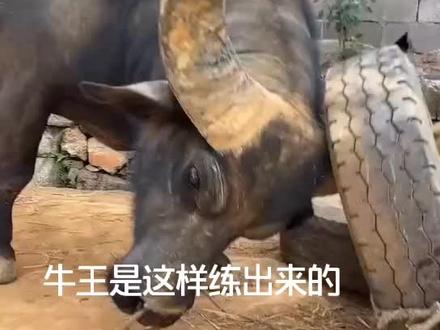 闲时不练上战场就吃亏了