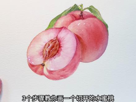 有手就会!三步画出粉嫩多汁的水蜜桃🍑
#水彩教程 #水蜜桃 #水彩水果 #零基础水彩 #手绘教程