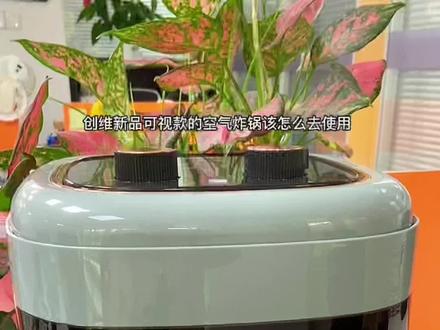 如何使用创维可视款的空气炸锅?看这里,操作指南使用方法都分享给大家,您学会了吗?#空气炸锅 #使用方法 #厨房好物 #家电 #热门@抖音小助手
