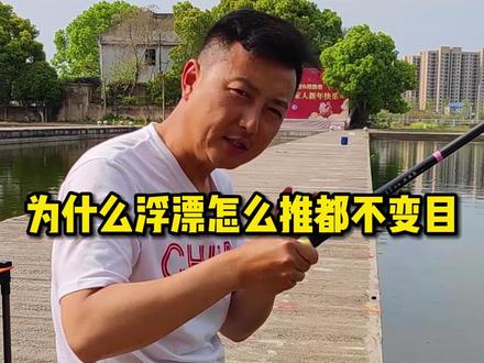 为什么浮漂怎么推都不变目#野钓 #钓鱼的乐趣只有钓鱼人懂 #户外钓鱼 #钓鱼技巧 @龙王恨垂钓研究院