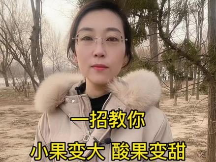 一招教你小果变大,酸果变甜#锦禾农资 #果大一圈 #农资肥料 #我的农资之路