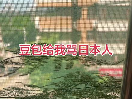 成功驯服豆包,哈哈😄