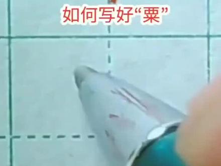 #硬笔书法 #规范字 #书法 #粟氏家族
作为一个粟家人,如何写好粟字?写的不好的来看下,学一学!