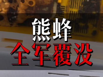全军覆没的熊蜂,疯了……#农村生活