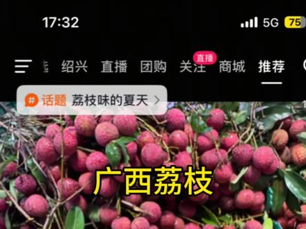 广西荔枝 广西的朋友们!我震惊了!你们那边的荔枝是这样的吗?不会是AI生成的吧!这么水灵灵的,还有什么活的死的荔枝,荔枝不都一样吗?我从来没见到过这么晶莹剔透的荔枝,这也太美了、太漂亮了!#广东荔枝 #荔枝 #广西荔枝 #灵山荔枝 #灵山荔枝